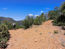photo thumbnail #4