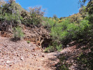 photo thumbnail #7