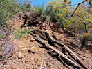 photo thumbnail #12