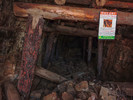 photo thumbnail #14