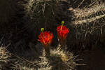 photo thumbnail #12