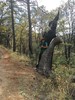photo thumbnail #6