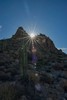 photo thumbnail #12