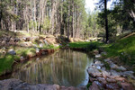 photo thumbnail #1