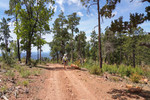 photo thumbnail #4