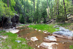 photo thumbnail #10