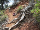photo thumbnail #4