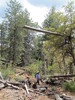photo thumbnail #5