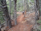 photo thumbnail #11