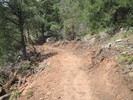 photo thumbnail #13