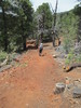 photo thumbnail #9