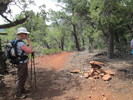 photo thumbnail #6