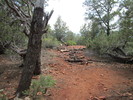 photo thumbnail #7