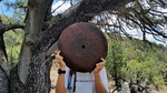 photo thumbnail #6