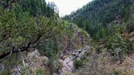 photo thumbnail #10