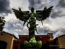 photo thumbnail #5