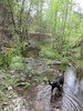 photo thumbnail #2