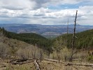 photo thumbnail #13