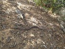 photo thumbnail #12