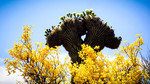 photo thumbnail #6