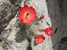 photo thumbnail #3
