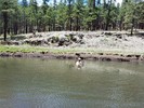 photo thumbnail #9