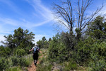 photo thumbnail #7