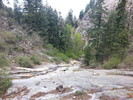 photo thumbnail #7