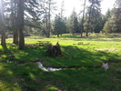 photo thumbnail #13