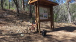 photo thumbnail #9