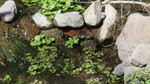 photo thumbnail #12