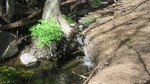 photo thumbnail #15
