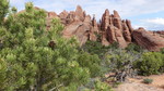 photo thumbnail #4