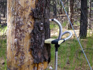 photo thumbnail #2