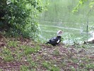 photo thumbnail #9