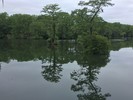 recent photo