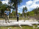 photo thumbnail #6