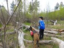 photo thumbnail #7