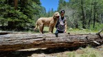 photo thumbnail #10