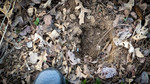 photo thumbnail #11