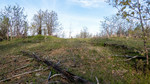 photo thumbnail #13