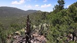 photo thumbnail #4