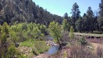 photo thumbnail #1