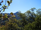 photo thumbnail #4