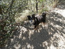 photo thumbnail #5