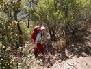 photo thumbnail #9