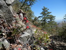 photo thumbnail #11