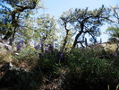 photo thumbnail #13