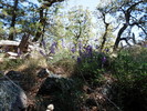 photo thumbnail #14