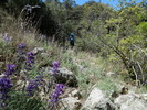 photo thumbnail #15